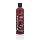Peter Lamas Avocado &amp; Olive Ultra Smoothing Shampoo, 12 fl oz