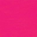 Snoozer Lookout My Buddy with Hot Pink Vinyl Cover Dog Car Seat