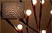 The Light Garden PWLW60 Contemporary Pussy Willow Accent Light with 60 Lights