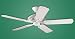 Hunter 52" Outdoor Ceiling Fan: Mariner White, Model #: 21955