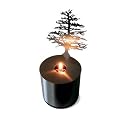 Lumen &Ouml;llampe Pine