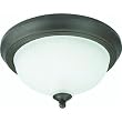 Westinghouse Light D 66085 2-Pack Ceiling Fixture