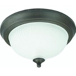 Westinghouse Light D 66085 2-Pack Ceiling Fixture