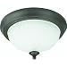 Westinghouse Light D 66085 2-Pack Ceiling Fixture