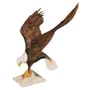 American Eagle