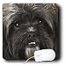 Jackie Popp Nature N Wildlife animals - lowchen - Mouse Pads