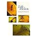 Life in Amber