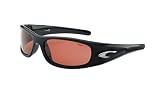 Carrera Keramiko Sunglasses (Black/Polarized Brown)