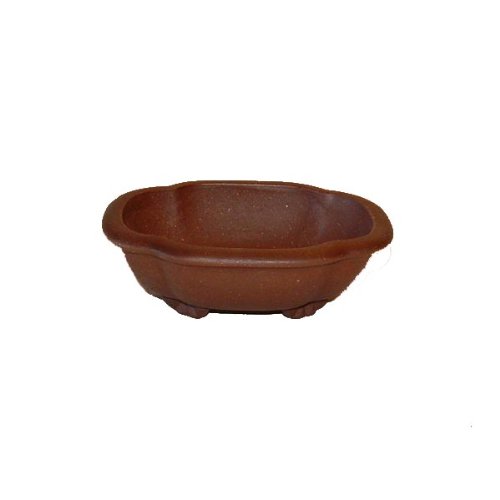 14cm Tokoname Quality Oval Bonsai Pot