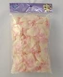 Pink Rose Petals