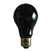 Sunlite 75A/BL Incandescent 75-Watt, Medium Based, A19 Colored Bulb, Blacklight