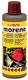 Eigenschaften Rosenau24  / Sera morena 100 ml