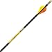 CARBON EXPRESS MAYHEM HNTR 350 BLZR 6PK