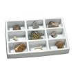 Educational Insights GeoSafari Fossil Collection