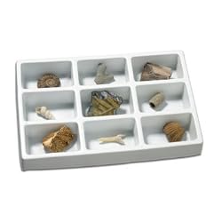 Educational Insights GeoSafari Fossil Collection