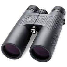 Click here to buy Bushnell 22-1042 Bushnell NatureView 10x42mm Roof Prism Binoculars by Bushnell.