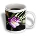 Flowers - Crocus - Mugs