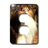Dogs Sable Border Collies - Sable Border Collie - Light Switch Covers - 2 plug outlet cover