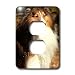 Dogs Sable Border Collies - Sable Border Collie - Light Switch Covers - 2 plug outlet cover