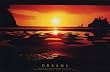 (24x36) Dreams (Motivational) Photo Print Poster