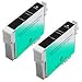 Amsahr T0681 Remanufactured Replacement Epson Ink Cartridges with 2 Black Cartridges
