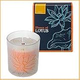 Bloom of LOTUS �t���O�����X�L�����h���@�l���� 150g