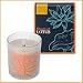 Bloom of LOTUS �t���O�����X�L�����h���@�l���� 150g