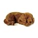  - Perfect Petzzz Dachshund