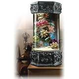 Ocean Treasures Walk on the Beach Aquarium