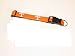 Tennessee Volunteers Dog Collar