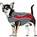 Kakadu Pet Explorer Nylon Fleece Reflective Dog Coat, 10", Flame (Red)