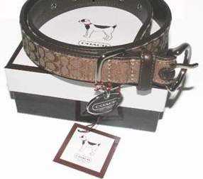 Coach Mini Signature C Minsig Tan Dog Collar XL
