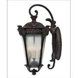 Savoy House Hanging Lantern Sconce