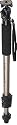Canon Monopod 100 for SLR Cameras & Lenses