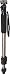 Canon Monopod 100 for SLR Cameras & Lenses