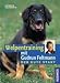 Image of Welpentraining mit Gudrun Feltmann: Der gute Start