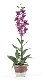 Dendrobium Silk Flower Arrangement - Purple - B000MW8H9M