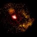 Pulsar in LMC Photo