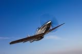 A P-51d Mustang in Flight. - 18