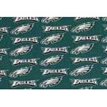 Philadelphia Eagles Shoe Cover