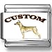 German Pinscher Dog Custom Photo Italian Charm
