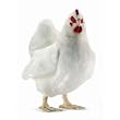 White Hen Plush Toy 15"