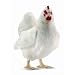 White Hen Plush Toy 15"