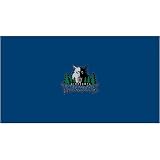Minnesota Timberwolves Billiard Table Cloth