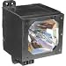 Replacement Lamp for The GT50 Series