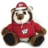 Wisconsin Badgers 9 Plush Mascot