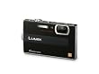 Panasonic Lumix DMC-FP8 12.1MP Digital Camera with 4.6x POWER Optical Image Stabilized Zoom and 2.7 inch LCD (Black)