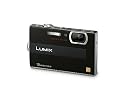 Panasonic Lumix DMC-FP8 12.1MP Digital Camera with 4.6x POWER Opical Image Stabilized Zoom and 2.7 inch LCD (Black)