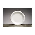 80900 - Celebrity White Foam Plate - 8-7/8 in