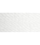 Coats Thread & Zippers Dual Duty Plus Hand Quilting Thread, 325-Yard, White